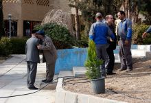 گزارش تصویری از آئیین درختکاری و تقدیر ازهمکاران فضای سبز دانشگاه